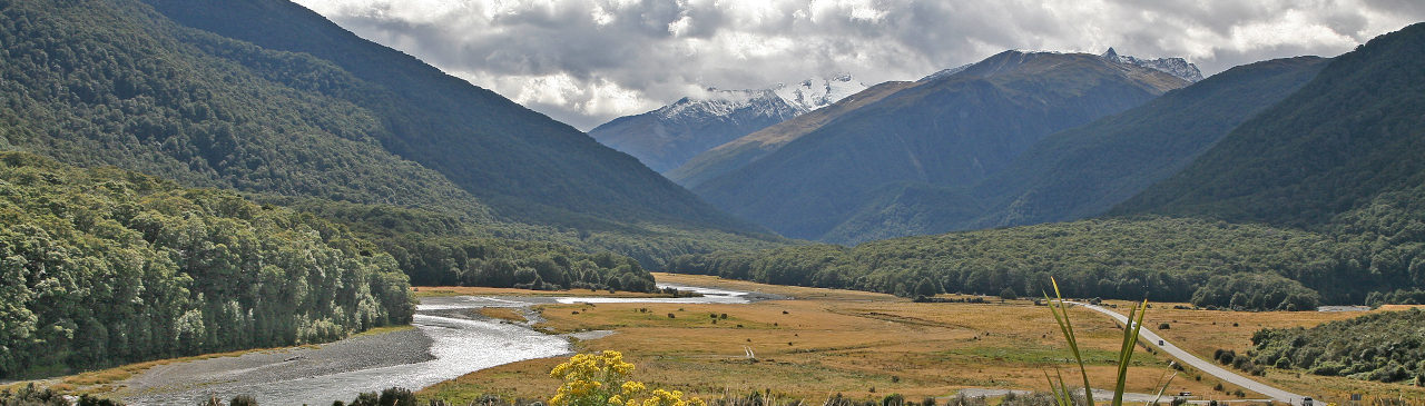 Blick auf den Haast-River